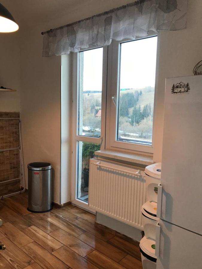 Apartmán Orlické Záhoří Esterno foto